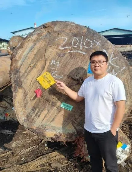 Jericho Go, founder of Timberwise Indonesia, beside a large timber log